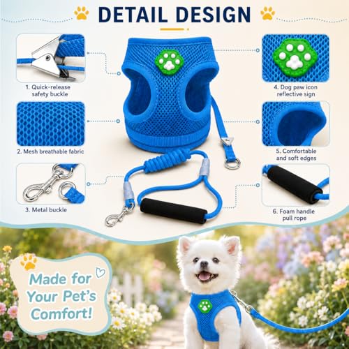 Dog Harness Small Sized and Leash Set, Step in Soft Light Puppy Vest, Breathable Mesh Pet Harness, Adjustable Pet Puppy Harness, Easy Walk Dog Harness, S: Chest 7.8-13.7" - color: Blue, size: S: Chest 7.8-13.7" Leash 3.8 FT