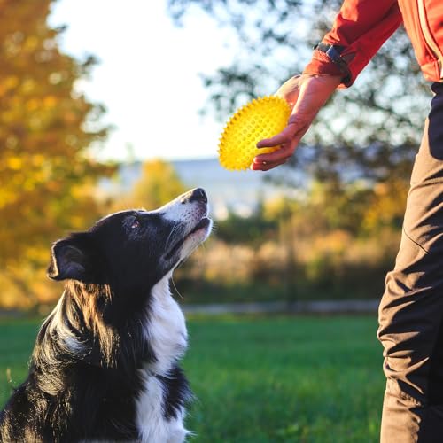Gemscream 6 Pcs 4.5'' Spiky Squeaker Football Dog Toy for Medium Large Dogs Heavy Duty Rubber Chew Toys for Aggressive Chewers Spiky Ball Fetch for Training Clean Teeth Outdoor - style: Classic