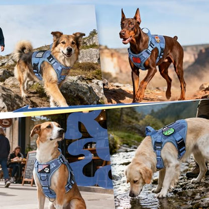 rabbitgoo Tactical Dog Harness Small Sized, No Pull Upgraded Reflective Heavy Duty Molle Vest with Handle, Adjustable Military Service Dog Vest for Walking Hiking Training, Blue, S - color: Blue Reflective, size: Small