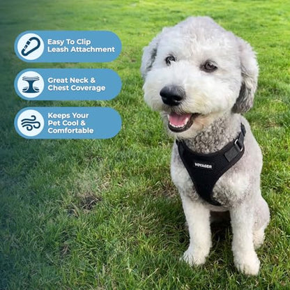 Best Pet Supplies Voyager Step-in Lock Pet Harness w Reflective Pet Leash Combo Set with Neoprene Handle 5ft - Supports Small, Medium and Large Breed Puppies/Cats - Black Set, L - color: Harness Leash Set (Black), size: L (Chest: 20 - 25")