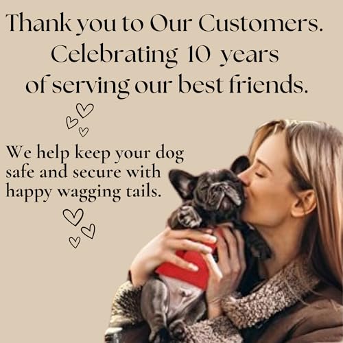 EcoBark Step in Dog Harness - Eco-Friendly Teacup Dog Harnesses for XXS, XS, and Small Dogs - Reflective and Adjustable Mini Body Halter Vest -Tiny Soft Mesh Toy Breed Harness (XXXS, Black) - color: Black, size: XXXS- 2 to 3 lbs- Chest up to 10 in (Pack o
