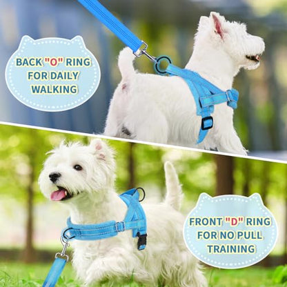 Lukovee No Pull Dog Harness and Leash Set, Soft Padded Small Dog Harness, Neck & Chest Adjustable Reflective Vest Puppy Harness with 4ft Lightweight Anti-Twist Dog Leash for Small Dogs (LBL, XS) - color: Light Blue, size: XS ( Chest 14'' ~ 18'')
