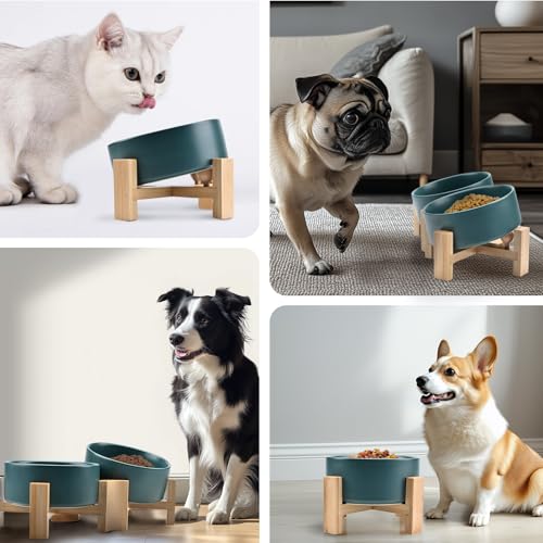 SPUNKYJUNKY 15° Slanted Ceramic Dog and Cat Bowl with Wooden Stand, Tilted Bulldog Food and Water Bowl No Slip Non-Spill for Cats Medium Dogs Big Face Pets 28.7 OZ (3.6 Cups, Green × 2) - color: Green, size: 3.6 CUPS × 2
