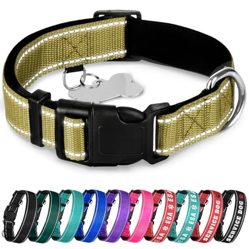 TECEUM Reflective Dog Collar – Olive – XXS – Extra Soft Padding – Basic Nylon Pet Collar – Quick Release Buckle – Fits Small, Medium and Large Dogs, Puppies, Cats – ESA & Service Dog Options - color: Olive, size: XX-Small