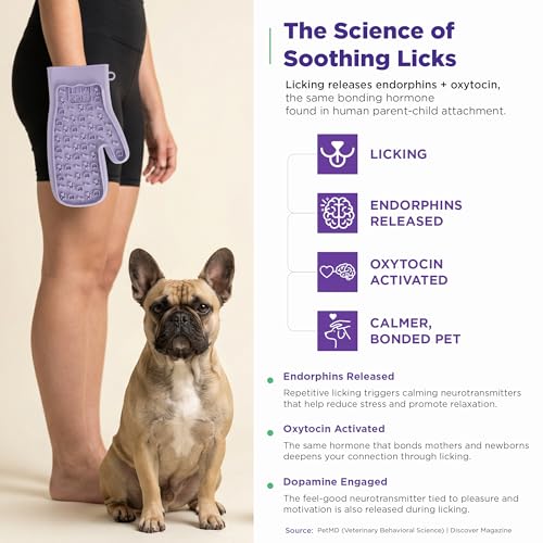 Lixy Pet LickMitt – Dual-Sided Calming & Grooming Mitt for Dogs and Cats – Human-Held Silicone Treat Mitt for Anxiety Relief, Bonding & Shedding – BPA-Free, Food-Grade, Easy Clean – Purple - color: Purple