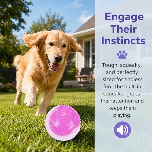 6Pcs Squeaky Glow in the Dark Dog Balls, Durable Rubber Glow Balls for Dogs, High Bounce Interactive Dog Glow Ball, 2.5Inch Universal Size for All Dogs—Indoor Outdoor Light Up Ball (Glow in the Dark)