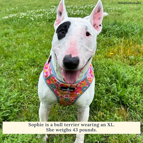Lucy & Co. Cute No-Pull Y2K Baby Harness - Stop Pulling & Walk Easy - Harness Available in XS-XL for Small, Medium, and Large Dogs - Y2K Baby (X-Large) - color: The Y2K Baby No-Pull Harness, size: X-Large