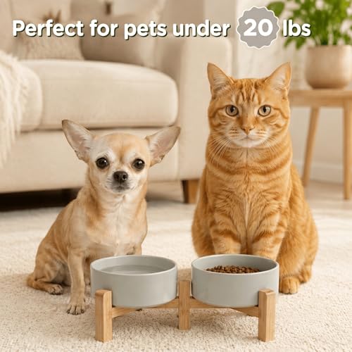 SPUNKYJUNKY Elevated Dog Bowls Ceramic, 5.1'' Dogs and Cat Food Water Bowls Raised with Non-Slip Bamboo Stand for Puppy Small Sized Breed Microwave Dishwasher Safe - 13.5 OZ,Grey - color: Grey, size: 5.1 in - 1.7 cups