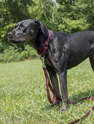 Country Brook Petz - Burgundy Martingale Heavyduty Nylon Dog Collar and Double Handle Leash (1 Inch, Medium) - color: Burgundy, size: Medium (Pack of 1)