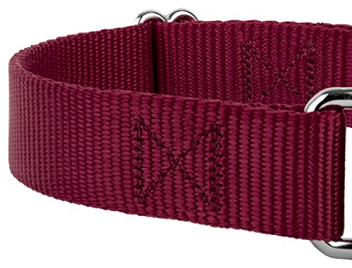 Country Brook Petz - Burgundy Martingale Heavyduty Nylon Dog Collar and Double Handle Leash (1 Inch, Medium) - color: Burgundy, size: Medium (Pack of 1)
