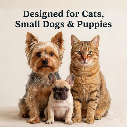 Jasper Microbrush Vet Approved Cat Toothbrush, Soft-Bristled Toothbrush Kit for Felines & Small Dogs, Non-Slip Handle with 2 Replaceable Tooth Brush Heads, Use with Cat Toothpaste, 2-Pack, Blue - color: Microbrush Kit