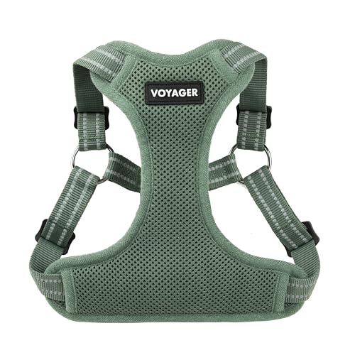 Best Pet Supplies Voyager Adjustable Step-in Flex Breathable Mesh Dog Harness for Small Medium Large Dogs (Moss Green), M - color: Harness (Moss Green), size: M