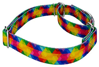 Country Brook Petz - Kaleidoscope Martingale Dog Collar - Groovy Collection Featuring Far Out Designs (1/2 Inch, 2XS) - color: Kaleidoscope, size: 2XS (Pack of 1)