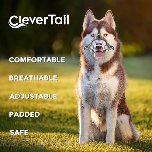 Metal Husky Muzzle for Large Sized Dog – Basket Muzzle for Dogs with Adjustable Leather Straps – Steel Cage Dog Muzzle to Prevent Biting and Eating – Mouth Guard for Large and Medium Dogs