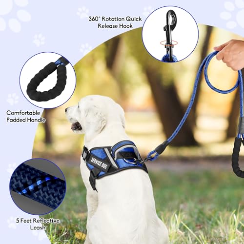 Service Dog Vest Harness and Leash Set, Animire in Training Dog Harness with 10 Dog Patches, Reflective Dog Leash with Soft Padded Handle for Small, Medium, Large, and Extra-Large Dogs - color: Blue, size: XXS