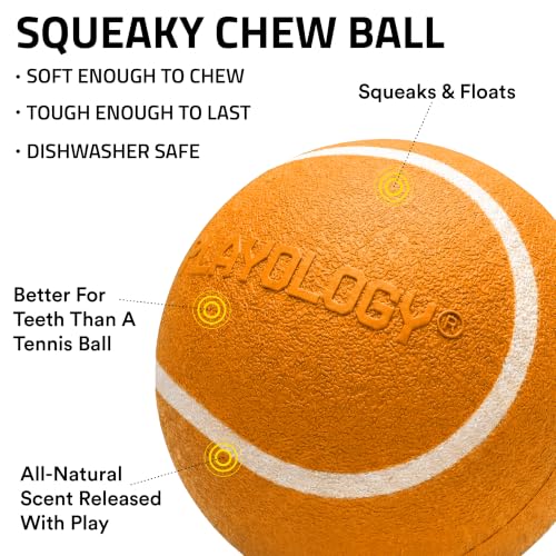 Playology Dog Toys | Squeaky Chew Ball for Dogs, Value 3-Pack | Cheddar Cheese Scented Small Dog Balls | Bouncy Floating Chew Toys for Fetch - size: Small (VALUE 3-Pack), style: Cheddar Cheese