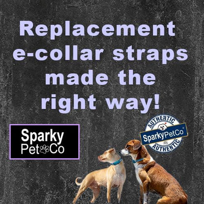 Sparky Pet Co - Apollo ECollar Replacement Strap - Dog Collar - Waterproof Biothane - Adjustable - Double Buckle - Quick Snap Metal Clasp - for Invisible Fence Systems - 3/4" x 28" (Light Blue)