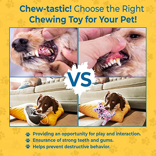 SunGrow Teddy Bear Puppy Teething Toy, Durable Tug and Chew Play for Small & Medium Dogs, Knotted Rope Cotton Design for Teething Comfort, Interactive Training, Active Pet, & Oral Cleaning