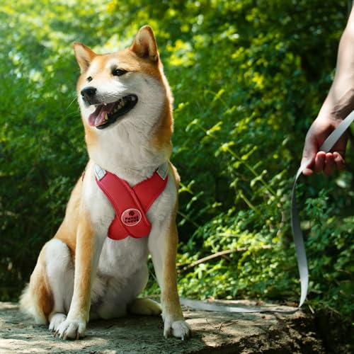 Patas Lague Dog Harness with Leash Set Adjustable Soft Padded Step-in Dog Vest No Choke No Pull Reflective for Small Medium Pets with Poop Bags and Dispenser, Solid and No-chew, Red S - color: Red, size: S (Neck 18.1-21.2'' Chest 21.2-25.2'')
