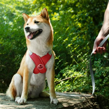 Patas Lague Dog Harness with Leash Set Adjustable Soft Padded Step-in Dog Vest No Choke No Pull Reflective for Small Medium Pets with Poop Bags and Dispenser, Solid and No-chew, Red S - color: Red, size: S (Neck 18.1-21.2'' Chest 21.2-25.2'')