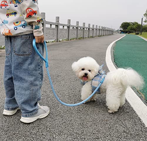 2/3/4/6/10 ft Reflective Dog Leash Strong Nylon Rope Braided Heavy Duty for Large and Medium Small Dogs Walking Training Leads (Sky Blue, 6ft * 1/2") - color: Sky blue, size: 6ft * 1/2"