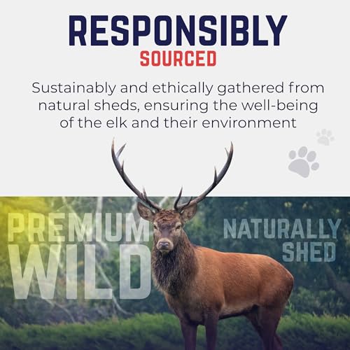 Devil Dog Pet Co. Elk Antlers for Dogs, Natural Dog Chew for Aggressive Chewers - Long Lasting and Odor Free - USA Sourced - Cleaner Teeth, Anxiety & Boredom Relief - Whole Small 4"+ 2 Pack - style: WHOLE - Small - 2 Pack