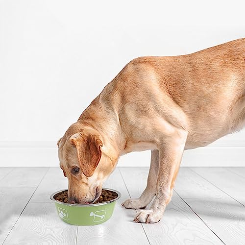 Dogs Bowl Stainless Steel Bowl Pet Bowl Anti Slip Dog Bowl Feeding Bowl Dog Water Bowl Pet Feeding Bowl Portable - color: Gray, size: 14cm