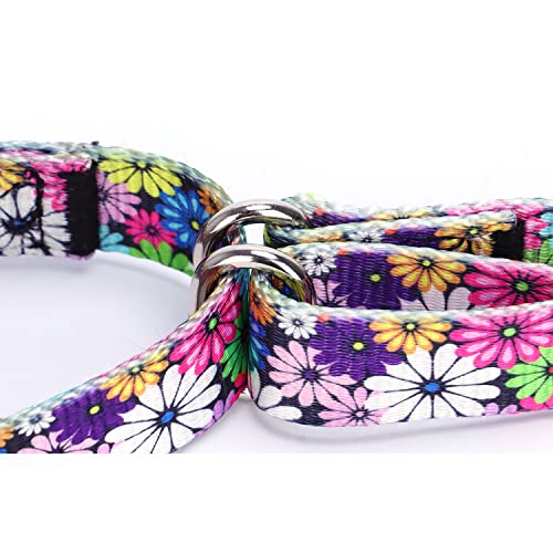 Heavy Duty Nylon Dog Collar, Adjustable Martingale Dog Collar for Walking Training Boy and Girl Dogs Medium Large Dogs (XL:53-62CM, Skulls) - color: Skulls, size: X-Large