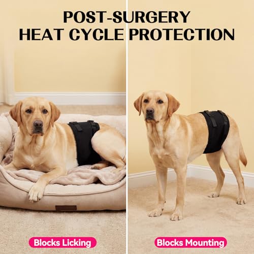DENTRUN Male Dog Wrap - Machine Washable Post-Surgery Recovery & Heat Cycle Diaper, Prevents Licking, Mounting, Adjustable Belly Band, Marking Prevention Band, Leak-Proof Edges, Fast Drying - color: Black, size: XL