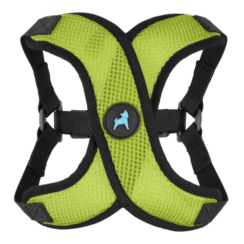 Gooby Comfort X Step in Lite Dog Harness - Choke Free, Escape Free with Light Breathable Mesh - Step in Dog Harness for Small Dogs Only - Quick Release Buckle, Metal D-Rings - Green, X-Small - color: Green, size: X-Small (11.8-14")