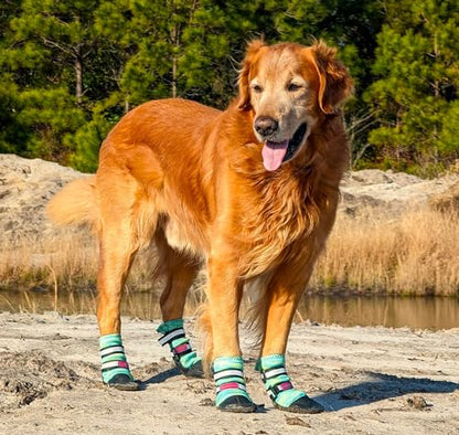 All Weather Neoprene Paw Protector Dog Boots with Reflective Straps in 5 Sizes! (Turquoise Large) - size: Large