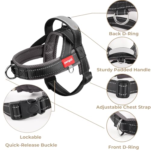 No Pull Dog Harness with Handle, Reflective Dog Vest, Black, M | Adjustable, Front Leash Clip, Safety Lock Buckle, Breathable Mesh Padded, Quick Fit, for Boston Terrier & Small Dogs - color: Black, size: Medium