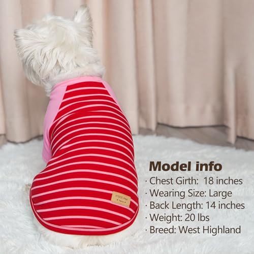KYEESE 2Pack Dog Sweater, Soft Puppy Sweatshirt Stretchy Pullover Dog Sweater for Small Dogs Girl Boy, Lightweight Fleece Cat Shirt Pet Clothes with Sleeves, M - color: 10# Pink, size: Medium (8.5-13lbs)