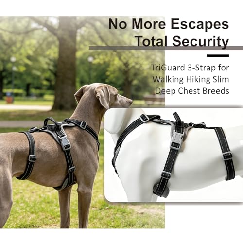ThinkPet Flexfit 3-Strap Escape Proof Dog Harness, No Pull Front Clip 2-in-1 Vest with Control Handle, 360° Reflective Breathable Adjustable Harness for Greyhound Whippet Vizsla, Small, Black - color: Black, size: Small