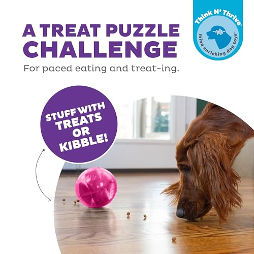 Outward Hound Orbee-Tuff Mazee Interactive Dog Puzzle Toy, Treat Dispensing Slow Feeder Ball, Pink, 4.7-Inch - color: Pink