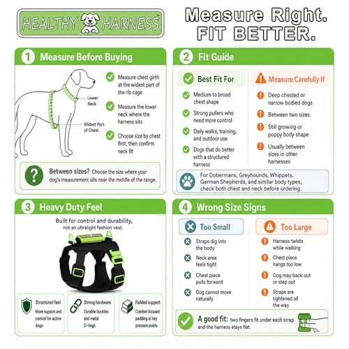 Ultimate Urban Dog Harness - Heavy Duty Design, No Choke, No Pull. Adjustable, Comfy Padding, Easy On/Off, Metal Hardware, Emergency Handle and 3 Connect Points (Silver, M) - color: Silver, size: M