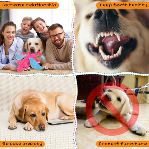 Sratte 10 Pcs Soft Dog Squeaky Toys No Stuffing Crinkle Dog Toy for Aggressive Chewers Durable Plush Teething Puppy Squeak Animals Chew for Small Medium Large Pets, 10 Styles(Assorted Style) - style: Assorted Style