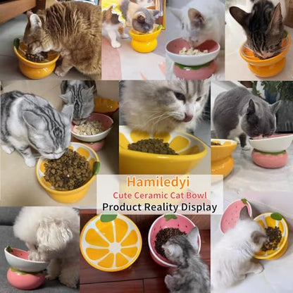 Hamiledyi Ceramic Raised Cat Bowls 15° Tilted Elevated Kitten Food Water Bowl Shallow Whisker Fatigue Kitty Dish Fruit Pet Feeding Bowls Feeder for Indoor Cats Small Dog (Pink Strawberry)