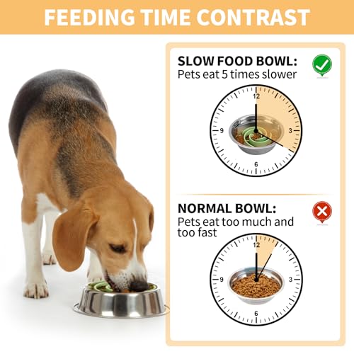 Slow Feeder Dog Bowls Insert, Bestalk Soft Silicone Slow Eating Feeder Insert with Suction Cups for Small, Medium and Large Dogs, Fit into Basic and Elevated Dog Bowls, Green - color: Green, size: S