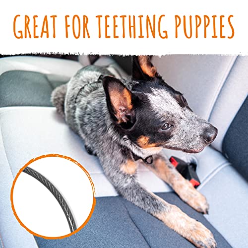Mighty Paw Dog Seat Belt Vehicle - Chew-Proof Dog Belt - Great for Teething Puppies - Latch Bar Attachment Like Child's Car Seat - Aviation Aluminum Carabiner - Strong Enough for Climbers - 850+ LB - style: Chewproof - 32"