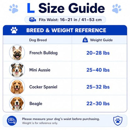 Male Dog Diaper Disposable Wraps for Waist 16–21 in,10 Count Leakproof, Super Absorbent, Adjustable Fit, Wetness Indicator, L - size: Male 10ct Waist 16~21in(L)