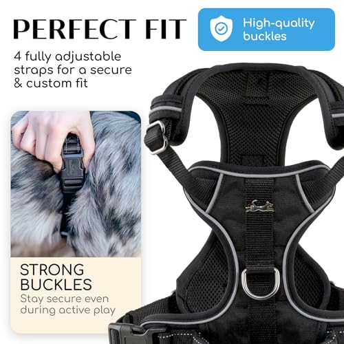 Freudentier No Pull Dog Harness with Handle – Soft Breathable Mesh Padding, Front & Back Clips, Adjustable & Reflective Front Range Harness for Small, Medium & Large Dogs (Black, M) - color: Black, size: M