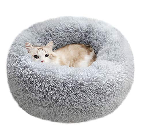 Modern Soft Plush Round Pet Bed for Cats or Small Dogs, Mini Medium Sized Dog Cat Bed Self Warming Autumn Winter Indoor Snooze Sleeping Cozy Kitty Teddy Kennel (20'' D x 8'' H, Light Grey) - color: Light Grey, size: Small 20''