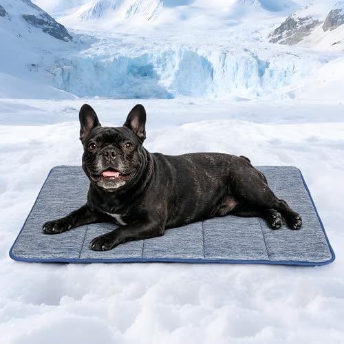 Dog Cooling Mat for Large Dogs – 30"x20" Orthopedic Memory Foam Pad for Summer, Hot Weather & Joint Relief | Washable, Non-Slip Crate Mat for Senior Dogs, Travel & Home (Wander Blue) - color: Wander Blue, size: 30"L x 20"W x 0.8"H