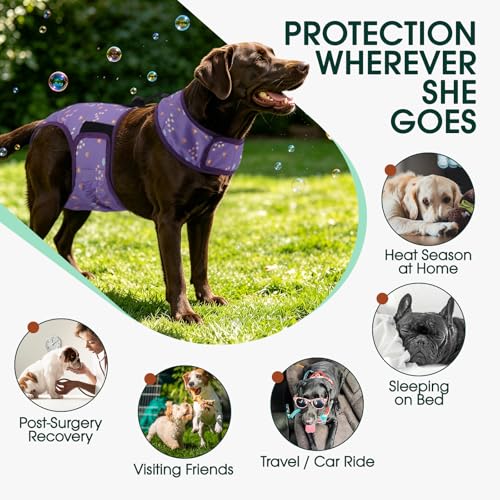Kuoser Dog Diapers Female with Suspenders, Escape-Proof Doggie Diaper That Stay On, Washable Dog Diapers for Heat, Incontinence & Puppy Training,Reusable Puppy Diaper Female Small Medium Large Dogs, S - color: Lavender Purple, size: S
