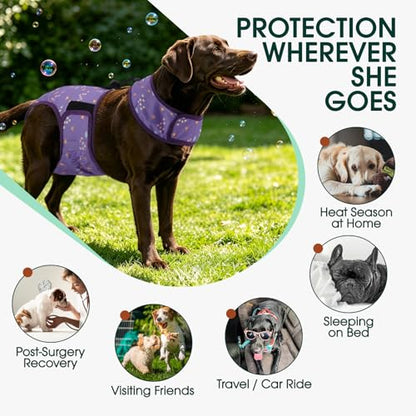 Kuoser Dog Diapers Female with Suspenders, Escape-Proof Doggie Diaper That Stay On, Washable Dog Diapers for Heat, Incontinence & Puppy Training,Reusable Puppy Diaper Female Small Medium Large Dogs, S - color: Lavender Purple, size: S