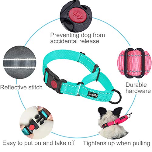 haapaw Martingale Dog Collar with Quick Release Buckle Reflective Dog Training Collars for Small Medium Large Dogs - color: Turquoise, size: M