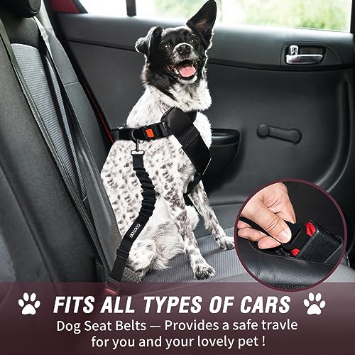 COOYOO Dog Seat Belt,3 Piece Set Retractable Dog Car Adjustable Seatbelts for Vehicle Nylon Pet Safety Heavy Duty & Elastic & Durable Car Harness for Dogs - color: Set 08-Black+Fuchsia