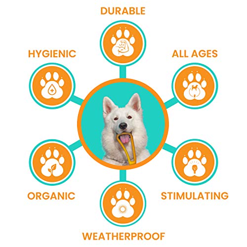 Fuzzy Puppy Dog Toys for Aggressive Chewers: All-Natural Rubber, Durable Dog Chew Toy, Great Teething Toys for Puppies | Wheelie (FP-Toy05) - style: Wheelie