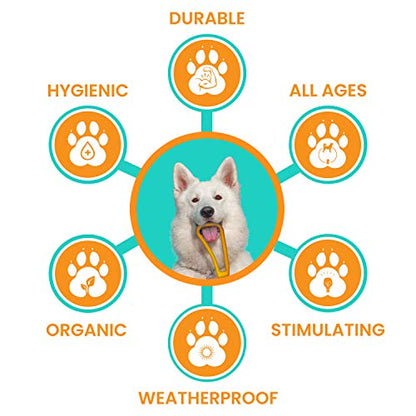 Fuzzy Puppy Dog Toys for Aggressive Chewers: All-Natural Rubber, Durable Dog Chew Toy, Great Teething Toys for Puppies | Wheelie (FP-Toy05) - style: Wheelie